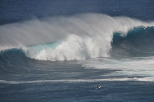 DSC_0267